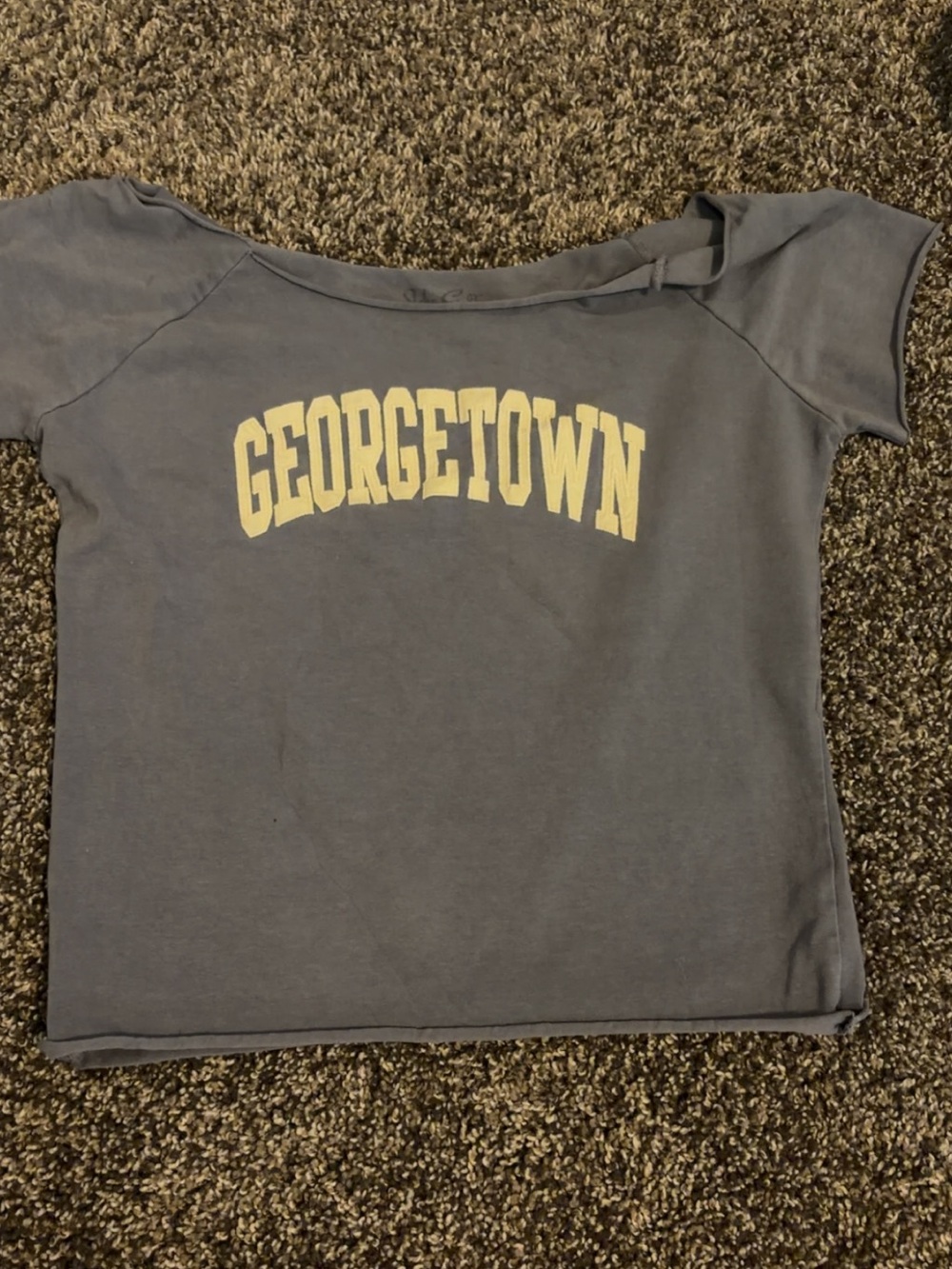 Brandy Melville Blue Crop Tee with Cream Georgetown Print